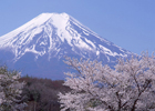 日本风景